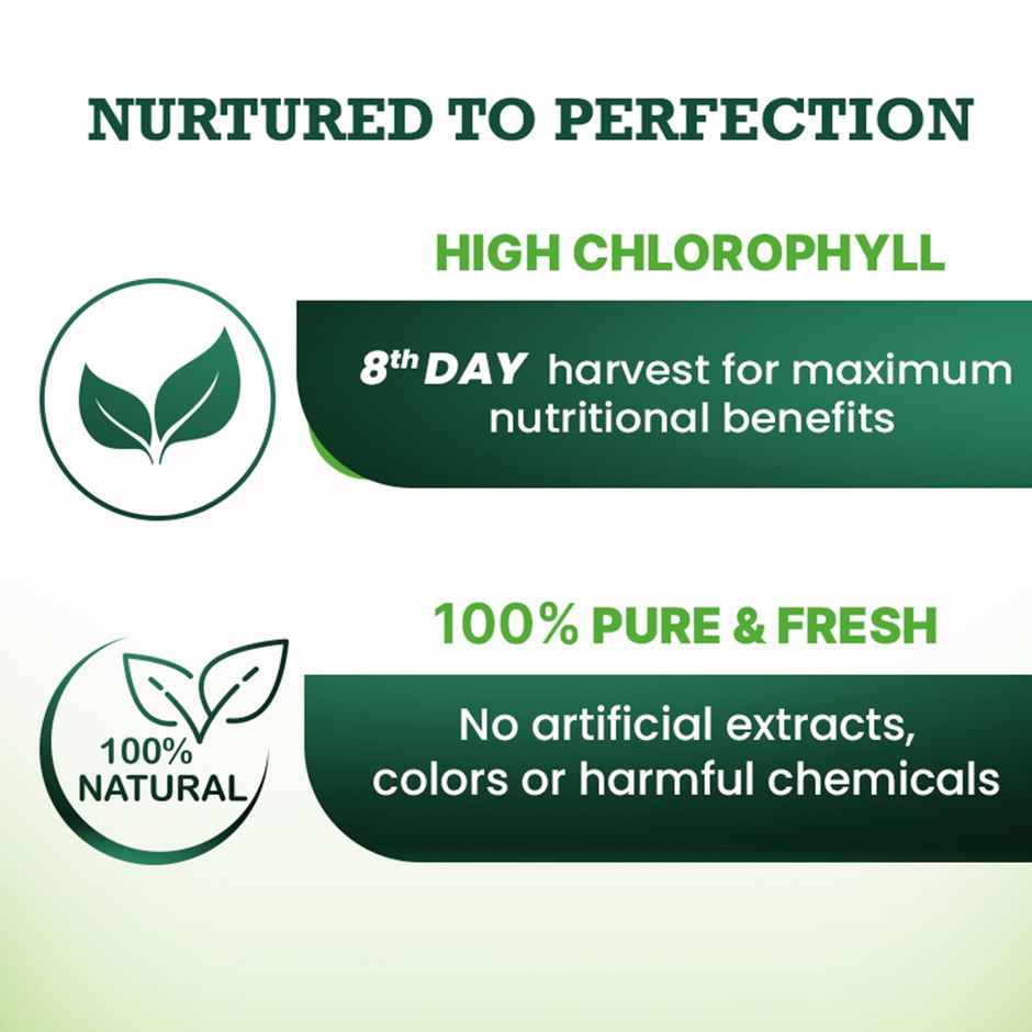 Vansaar 45+ Wheat Grass Juice