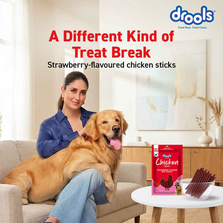 Drools Chicken Strawberry Flavor Dog Treats Sticks