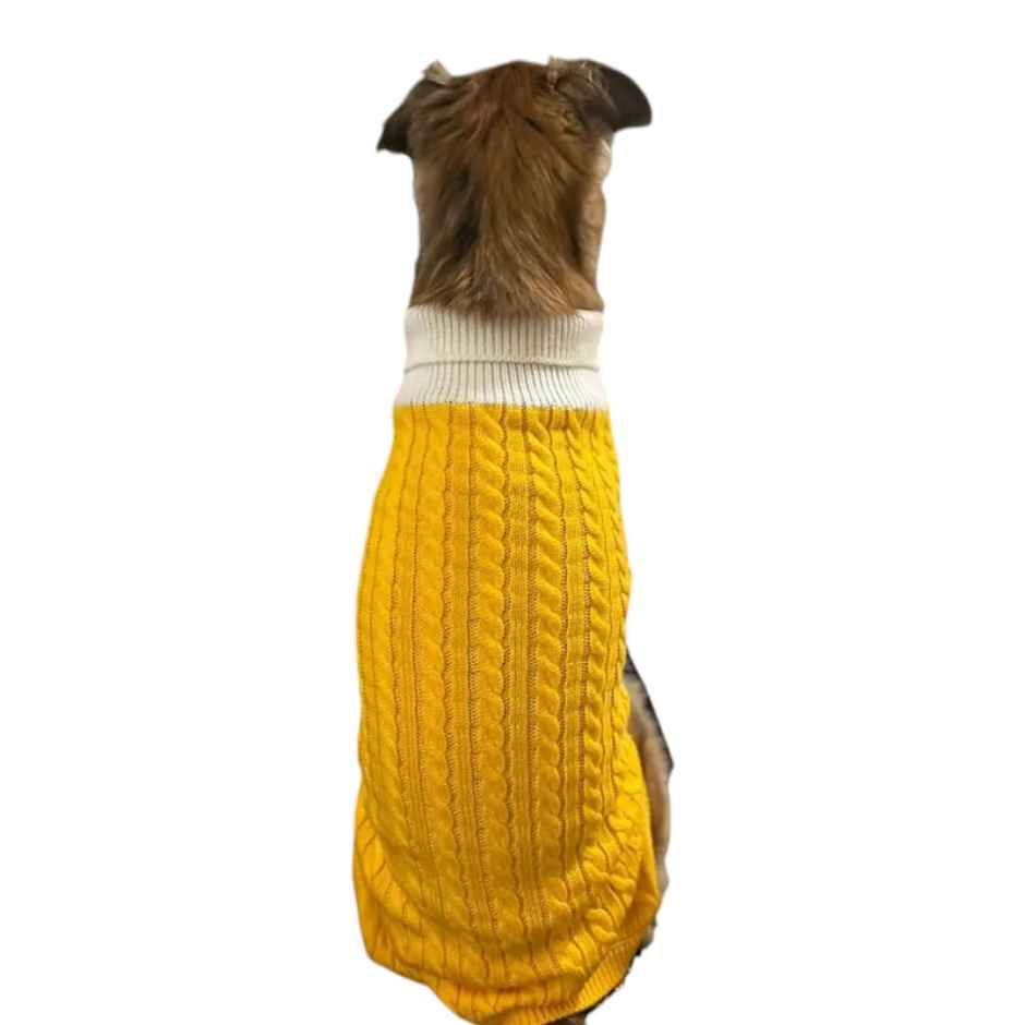 Bearhugs Yellow Highneck Sweater For Dogs L
