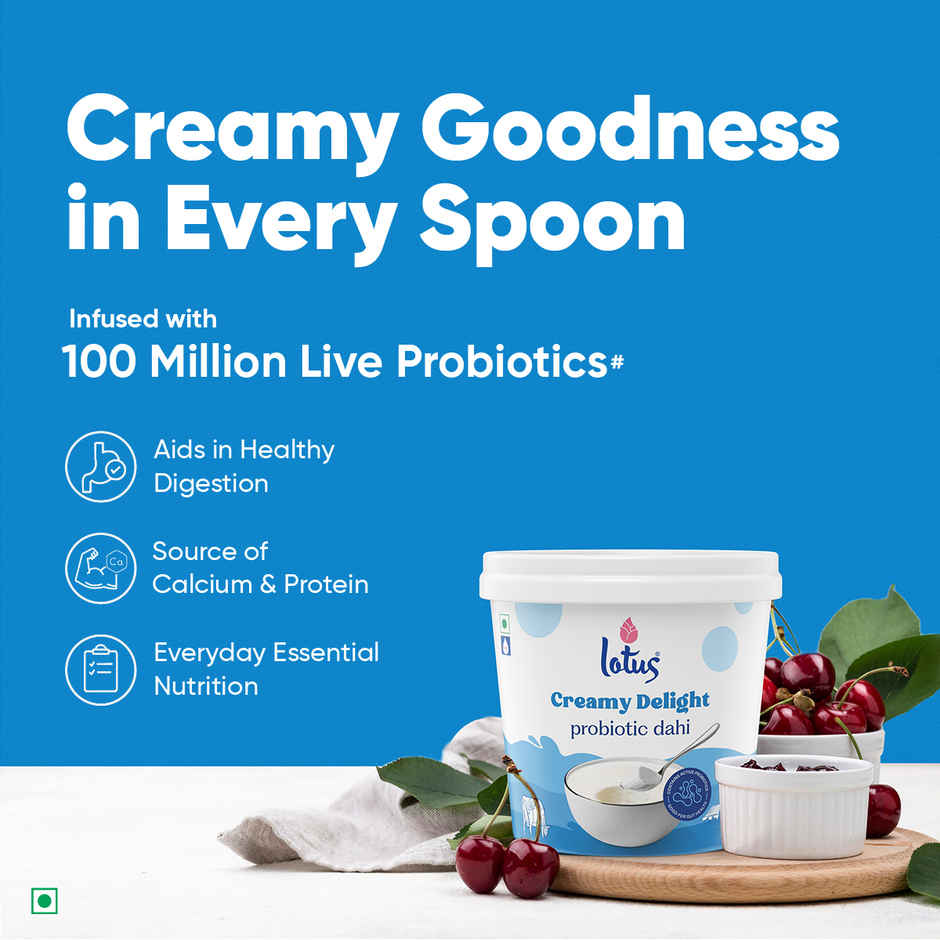 Lotus Creamy Delight Probiotic Dahi Tub