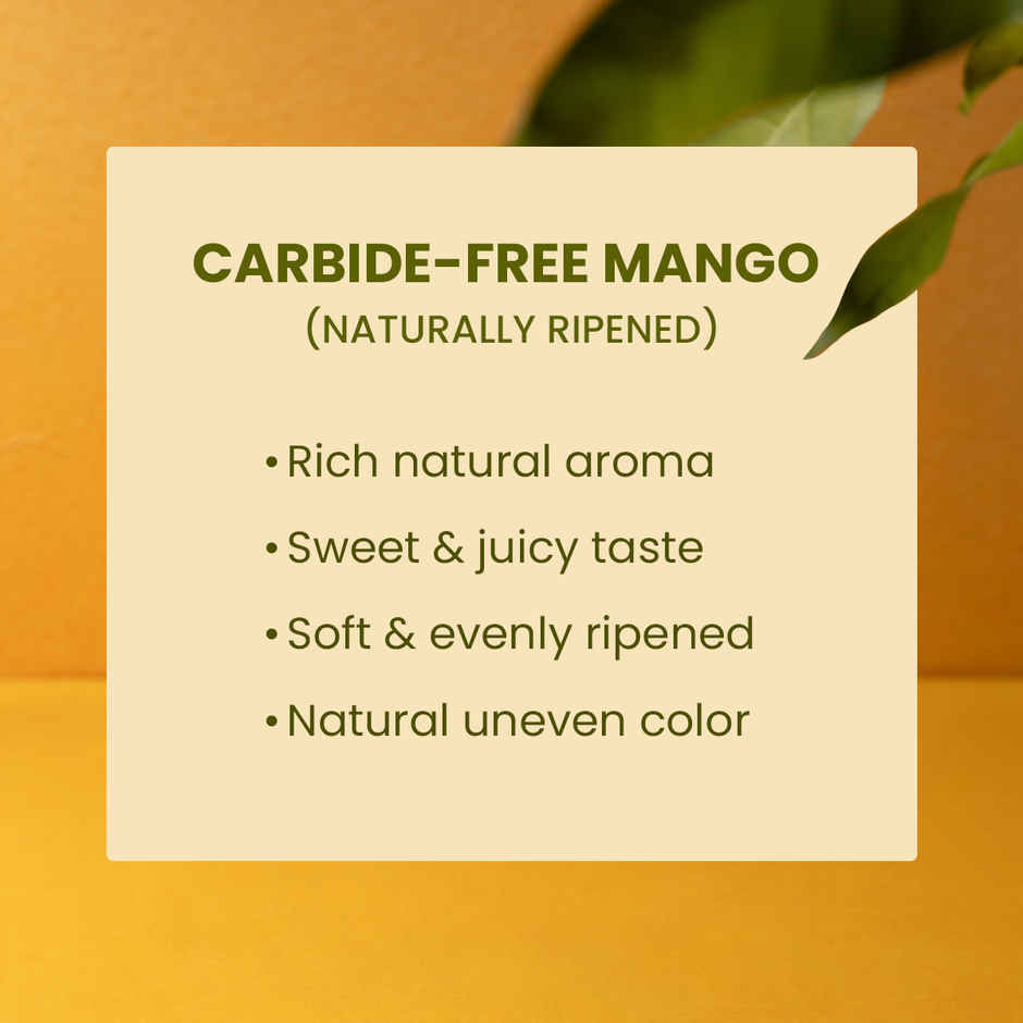 Mango Badami Combo