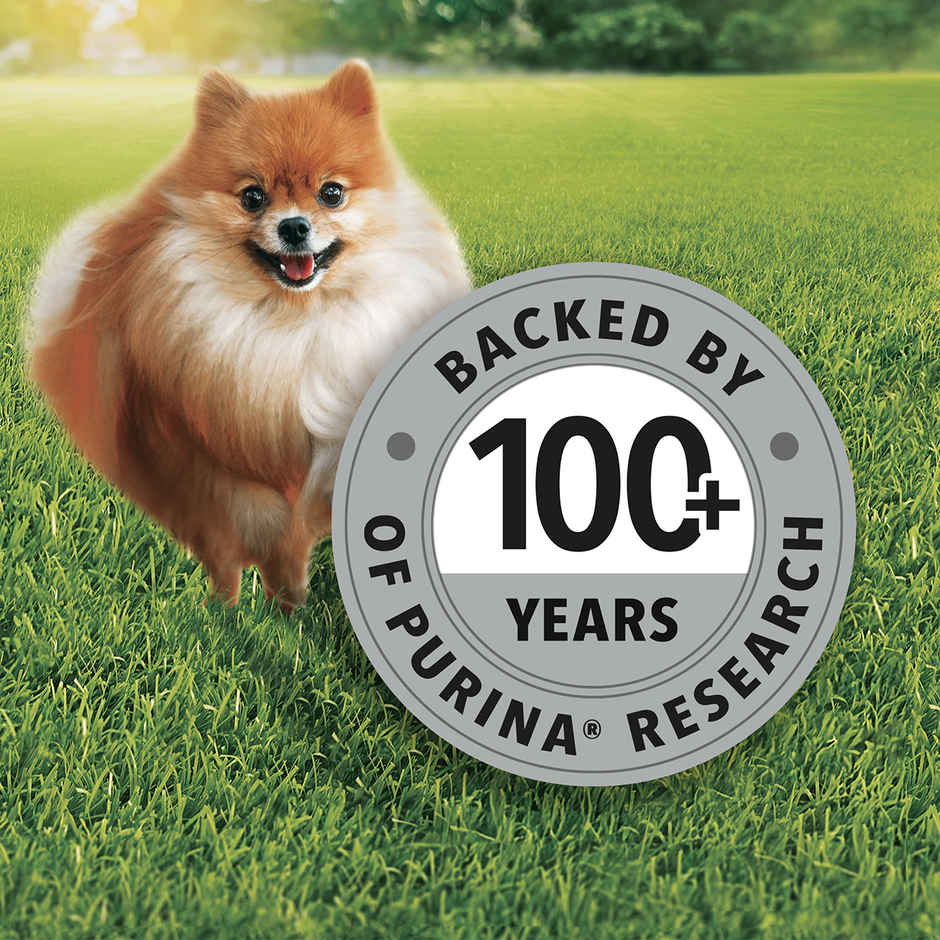 Purina Friskies Chicken Small Breed Adult Dog Dry Food