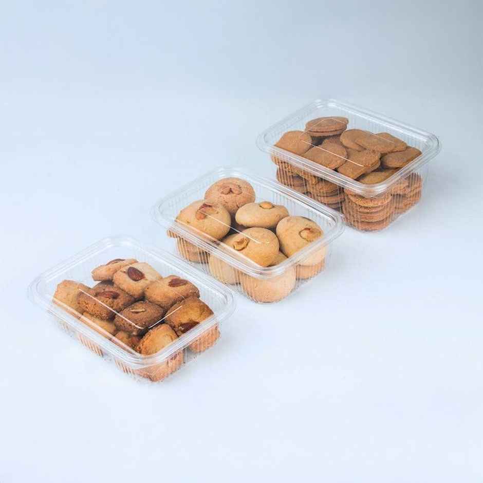 Plastic Hinge Box | Pack Of 10 | 250 ml | Tempware