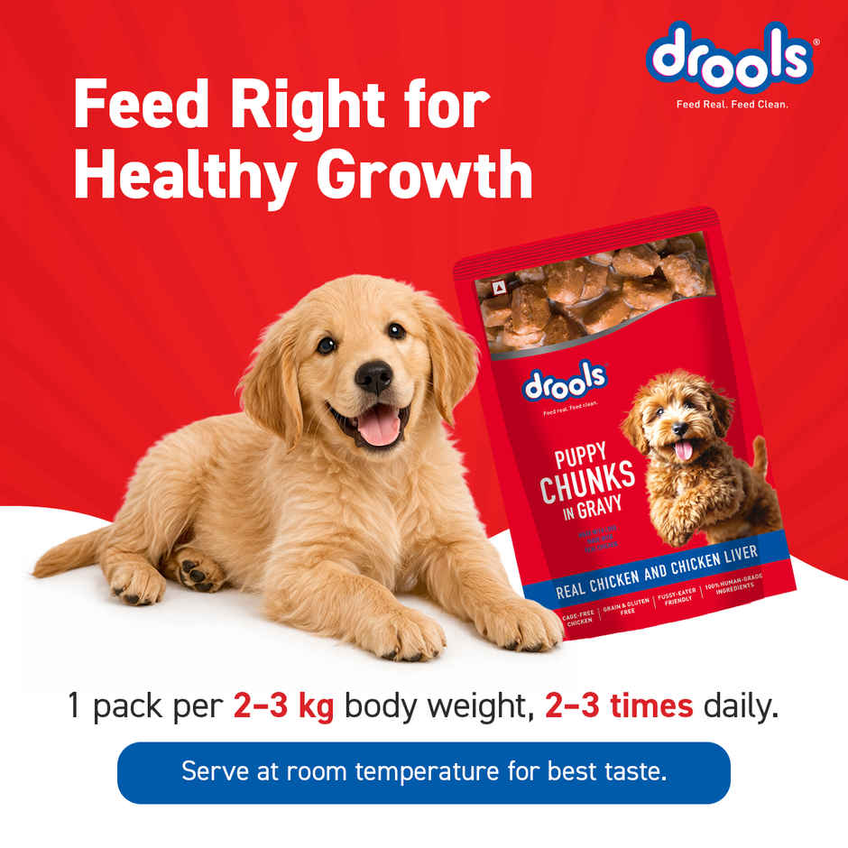 Drools Puppy Wet Dog Food - Real Chicken And Chicken Liver Chunks In Gravy
