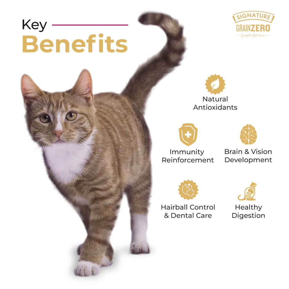 Signature Grain Zero Ocean Fish, Sardine, And Mackerel Adult Dry Cat Food