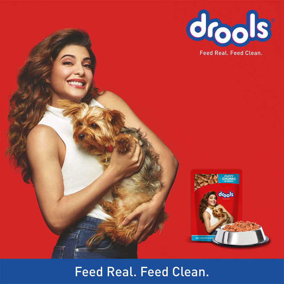 Drools Puppy Wet Dog Food - Real Chicken & Liver Chunks in Gravy