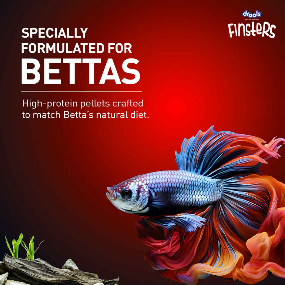 Drools FinstersBetta FishFood