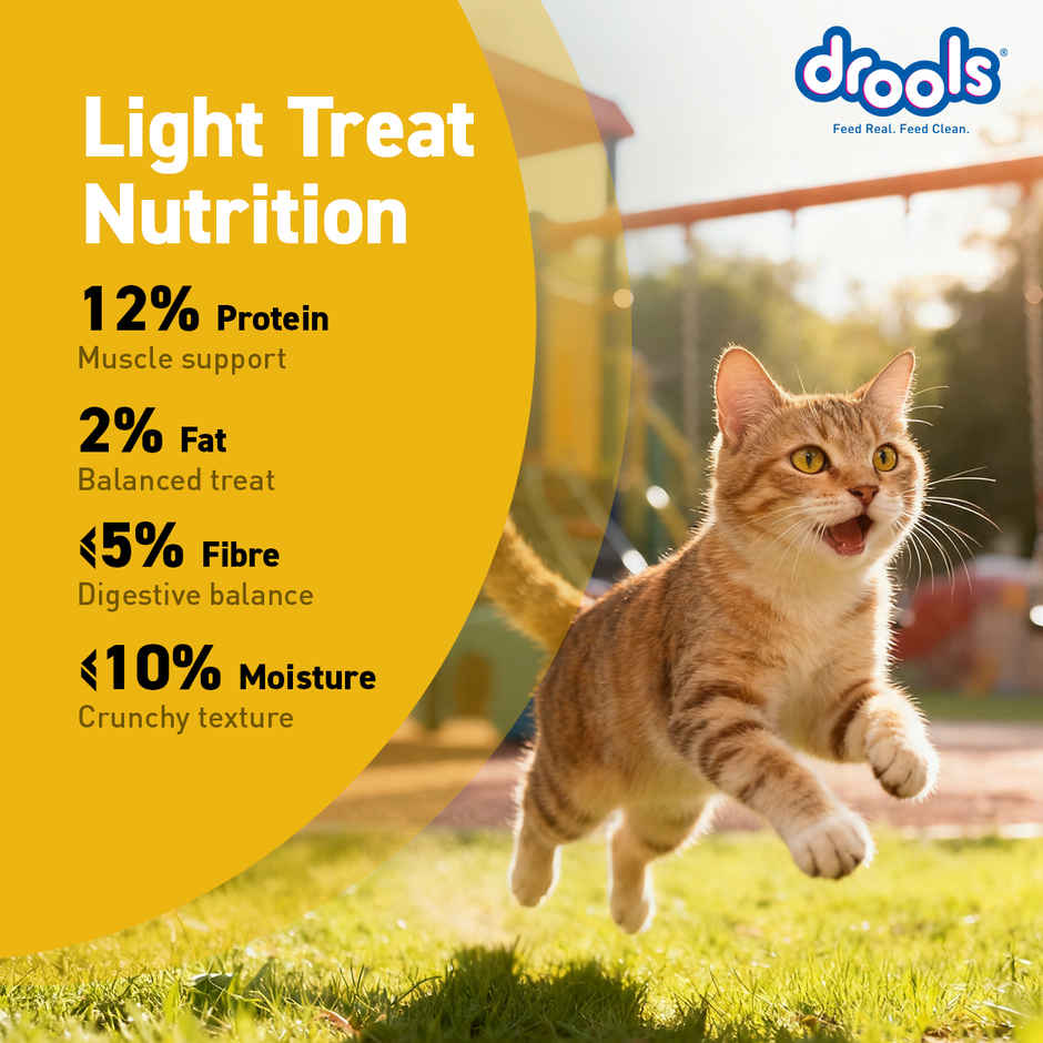 Drools Real Chicken Cat Biscuit Treats Jar