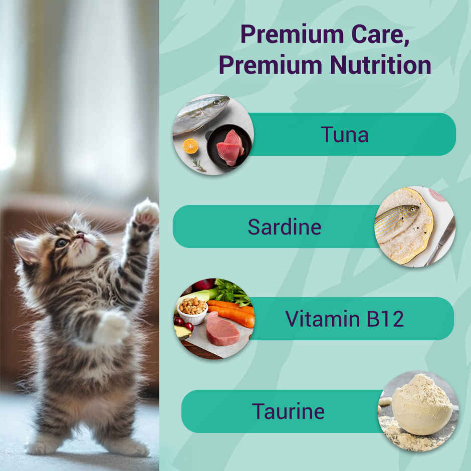 Purrfeto Wet Cat food Oceanfish recipe in Jelly | Kitten | Pack of 12