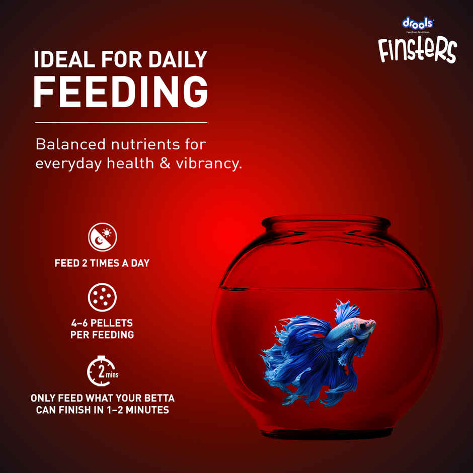 Drools FinstersBetta FishFood