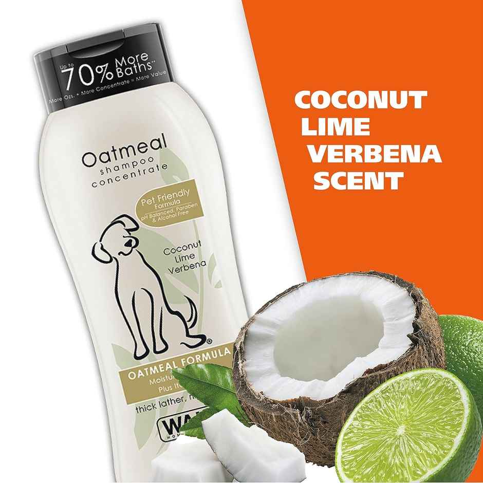 Wahl Oatmeal Shampoo - Coconut Lime Verbena