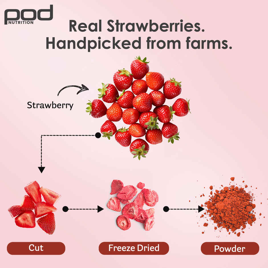 Pod Nutrition Real Strawberry Plant Protein- 26G Protein - Single Serve