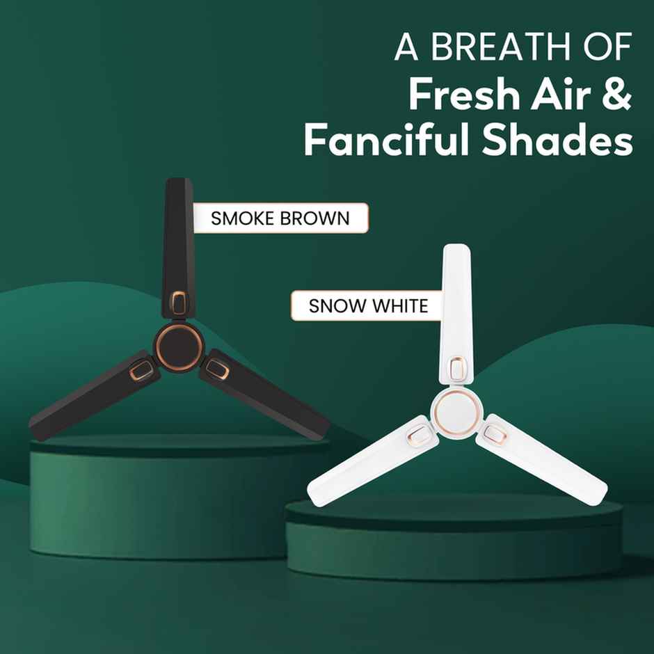 Polycab Superb Plus Ceiling Fan, 1200mm, Star Rated, Saves Up To 33% Electricity, Snow White