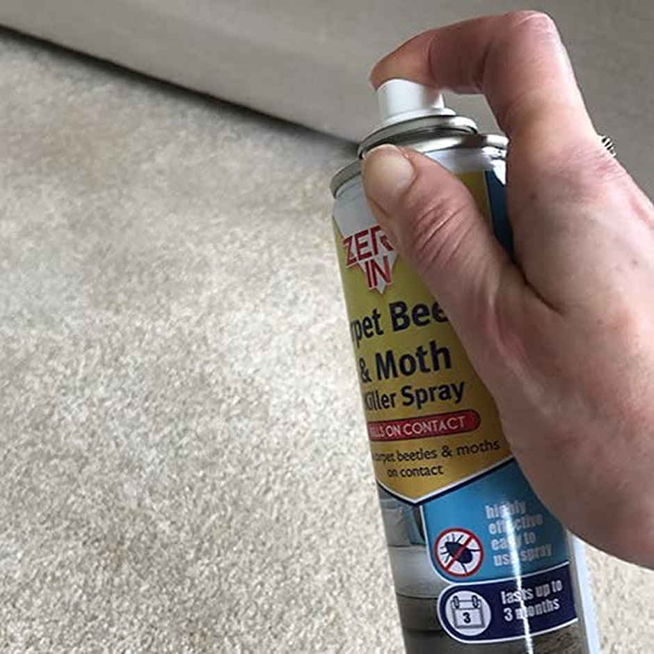 Zero In Carpet Beetle and Moth Killer Spray