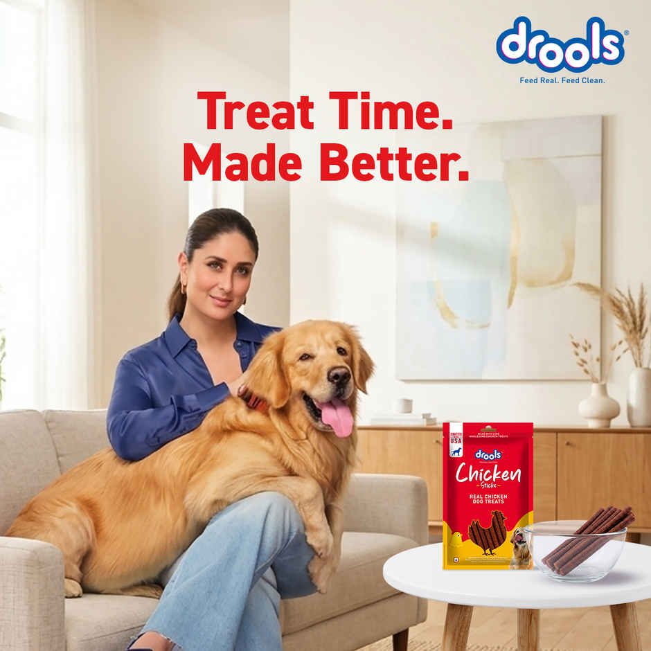Drools Real Chicken Flavor Dog Treats Sticks
