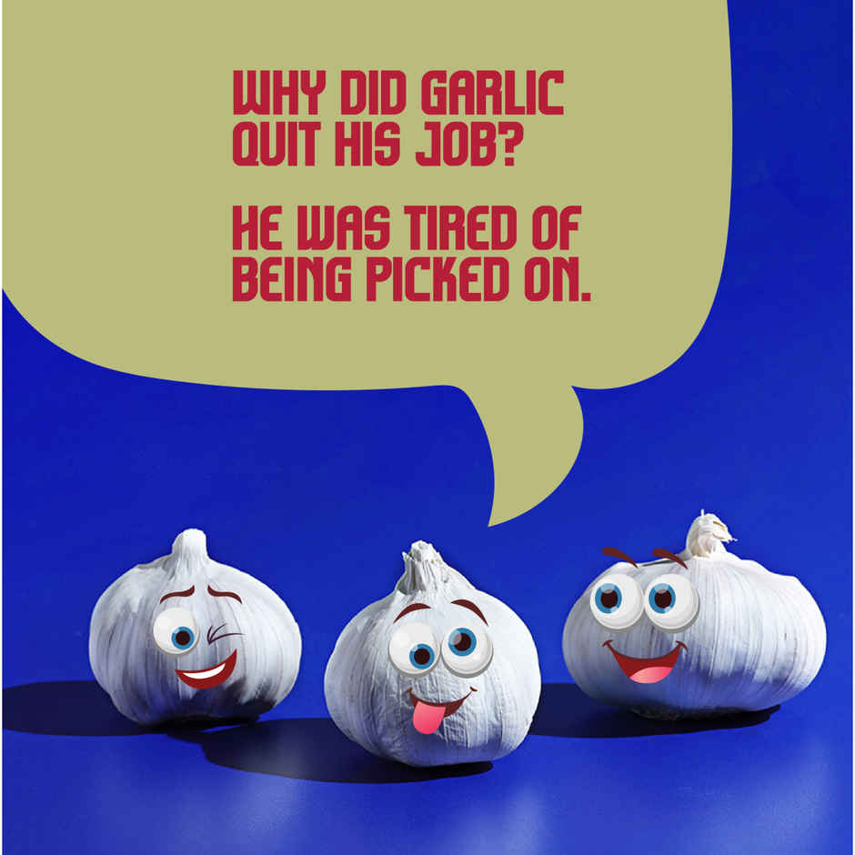 CRISTA Dehydrated Garlic Powder