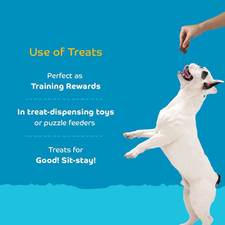 Applod Milk Puppy Biscuit With Collagen - Buy at ₹479 Online | Instant ...