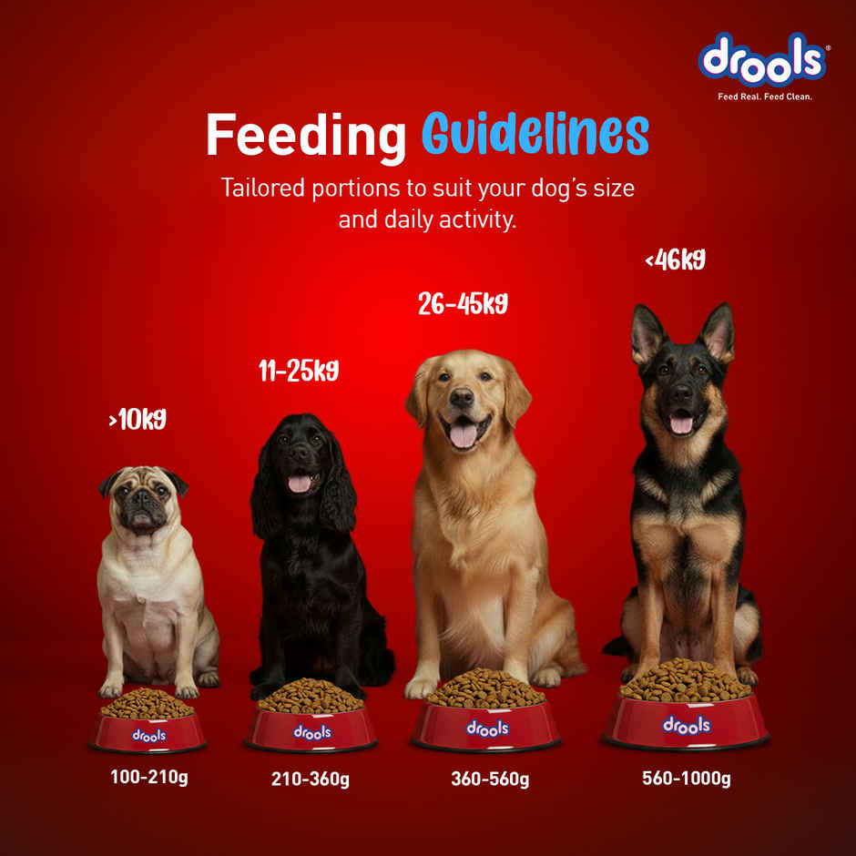 Drools Fish and Rice Adult Dry Dog Food 1 kg