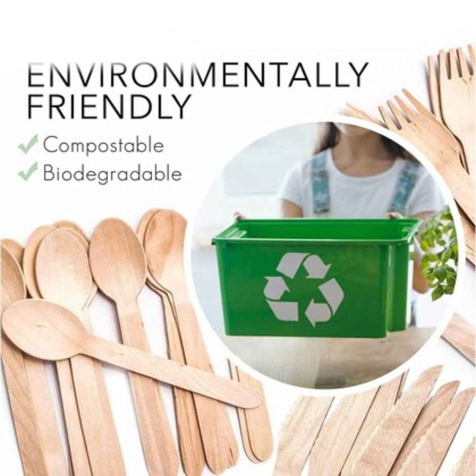 Naturepac Wooden Spoon 160mm 25 Pcs