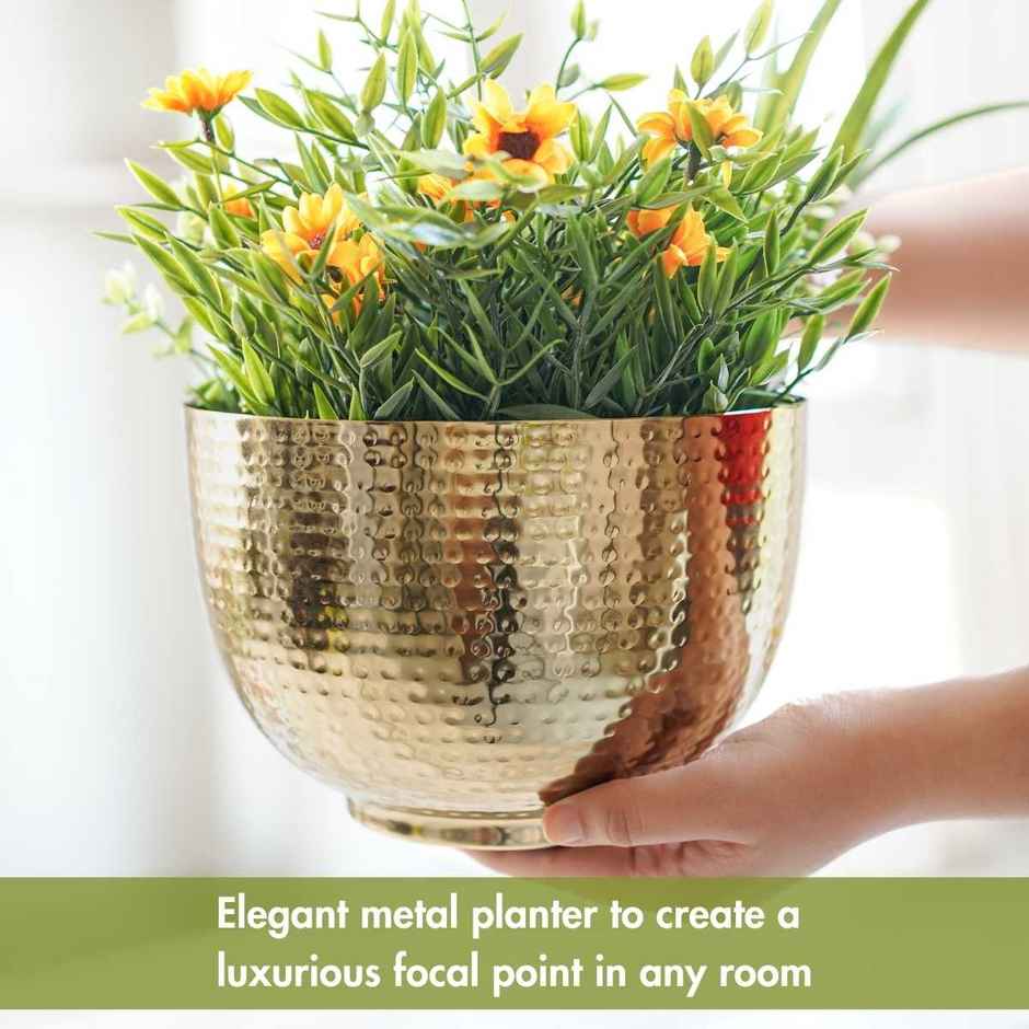 Behoma Metal Hammered Bowl Planter - Gold | Elegant Design
