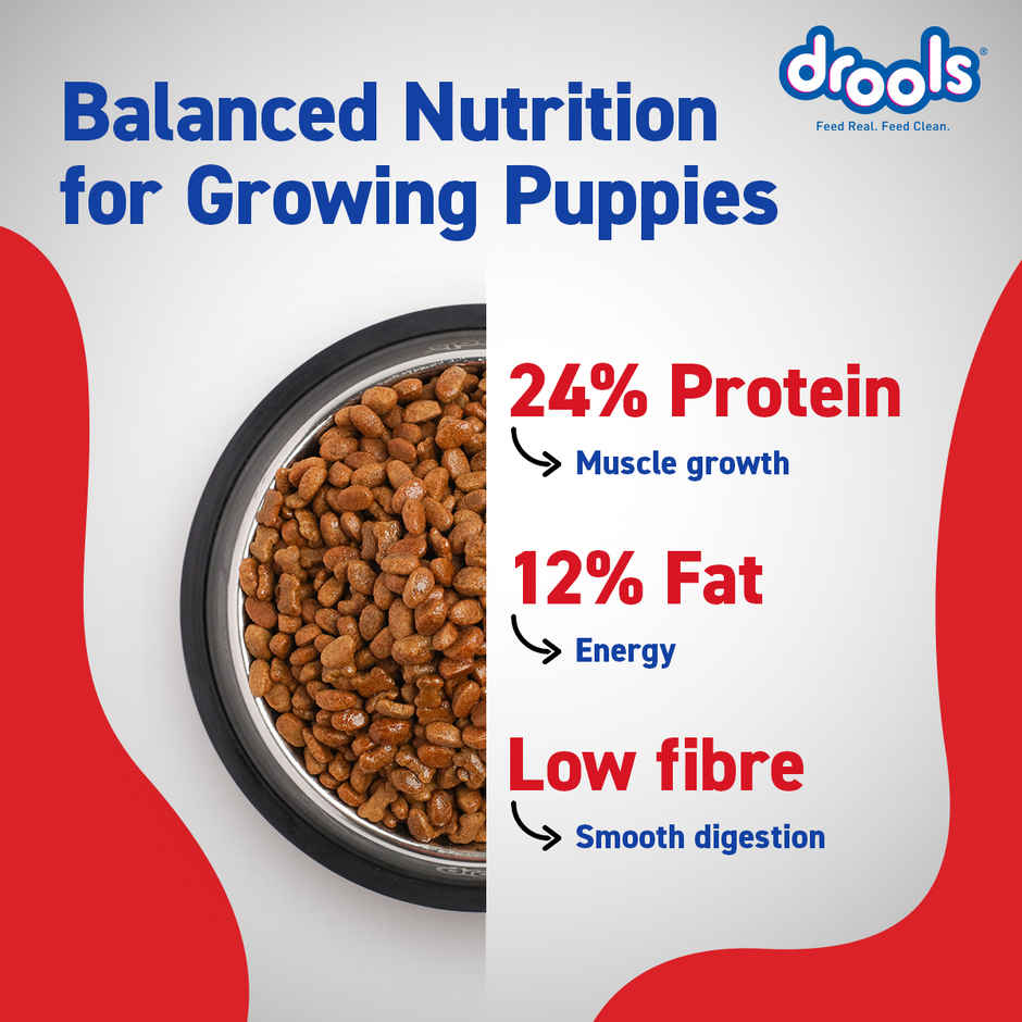 Drools Chicken and Egg Puppy Dry Dog Food Inside Container 5Kg