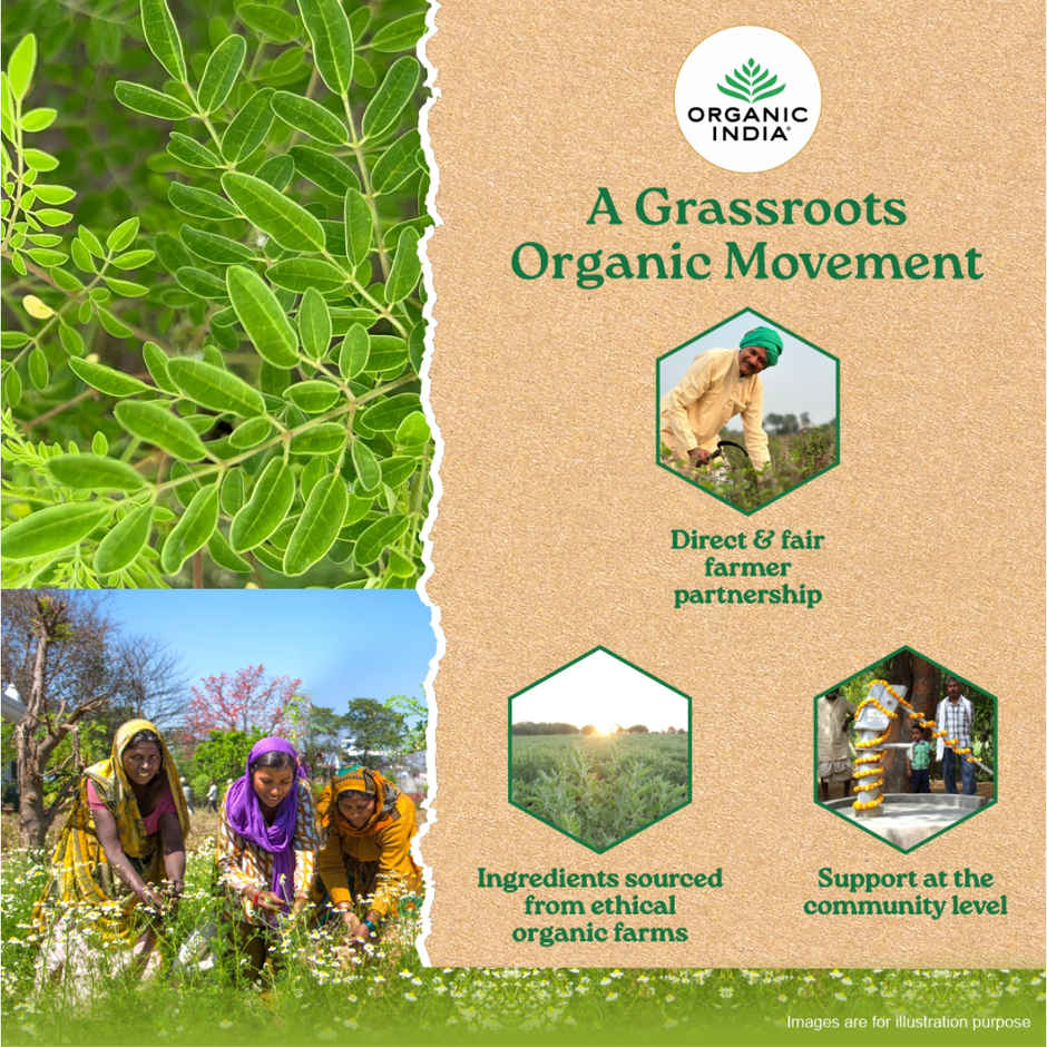 Organic India Moringa Powder, Essential Nutrition Superfood
