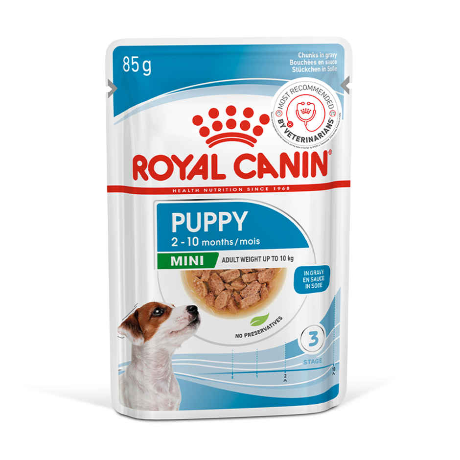 Royal Canin Mini Puppy Dog Wet Food