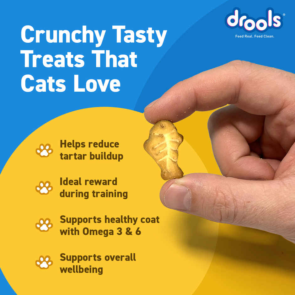 Drools Real Chicken Cat Biscuit Treats Jar
