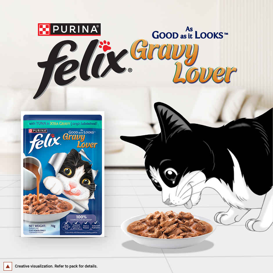 Felix Purina Felix Gravy Lover, Meaty Tuna Chunks
