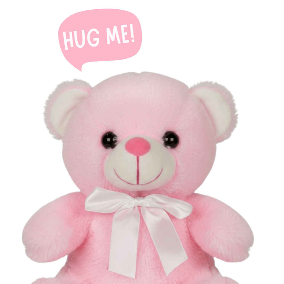 Toytales Cute Pink Teddy Bear Soft Toy | Plushie Stuffed Animal Toys | Assorted Design 25 cm