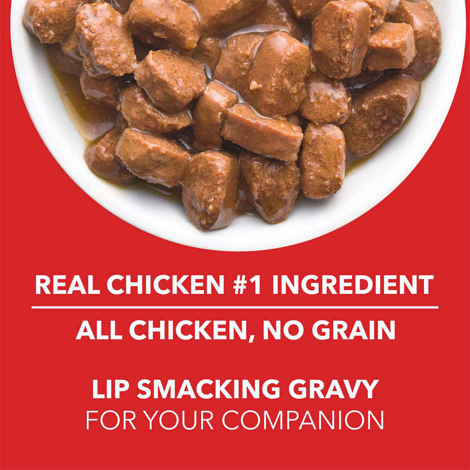 Drools Puppy Wet Dog Food - Real Chicken & Liver Chunks in Gravy