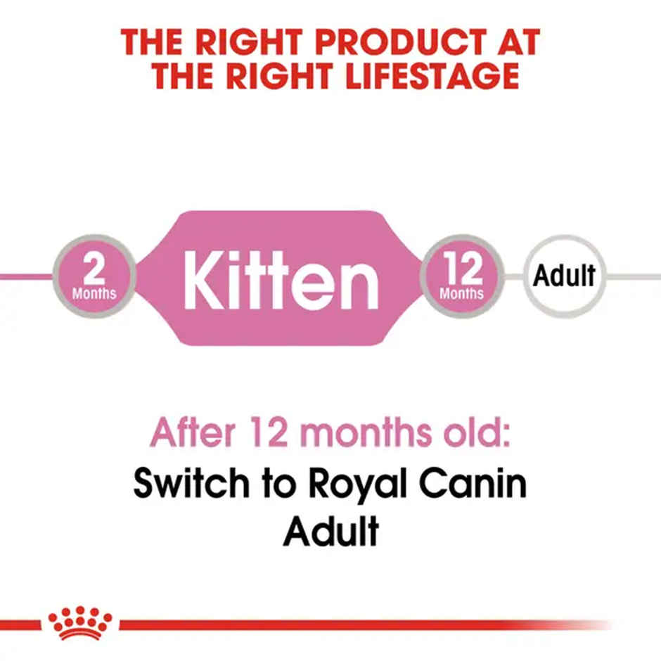 Royal Canin Kitten Cat Wet Food