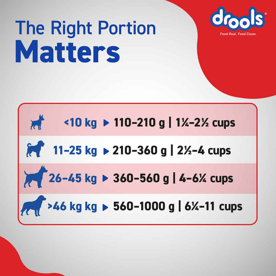 Drools Chicken and Egg Adult Dry Dog Food Inside Container 5kg