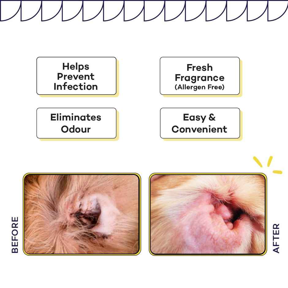 The Good Paws Clean And Clear Ear Pads For Dogs And Cats (Prevents Infection)