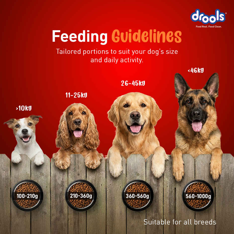 Drools Turkey and Pumpkin Adult Dry Dog Food 1 kg
