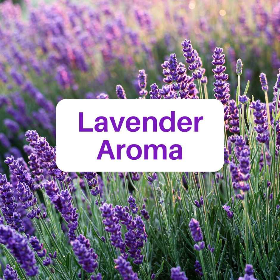 Rinsl Lavender Super Value Marble & Floor Cleaner