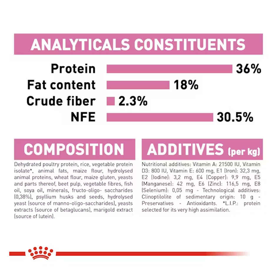 Royal Canin Kitten 36 Cat Dry Food 2kg