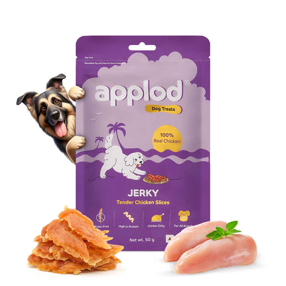 Applod Dehydrated Chicken Slices Dog Treat | Gluten Free Treats | For Puppy & Adult Dogs