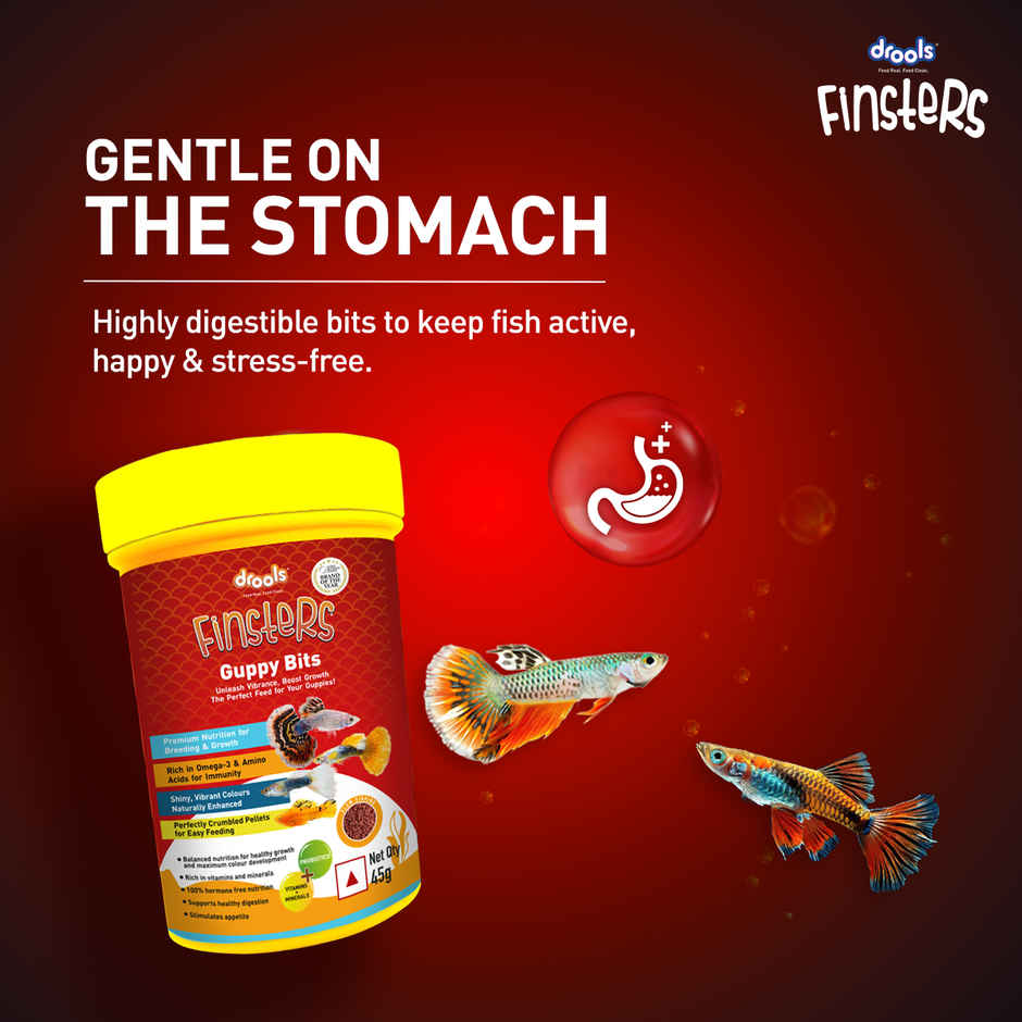 Drools Finsters Guppy Bits Fish Food