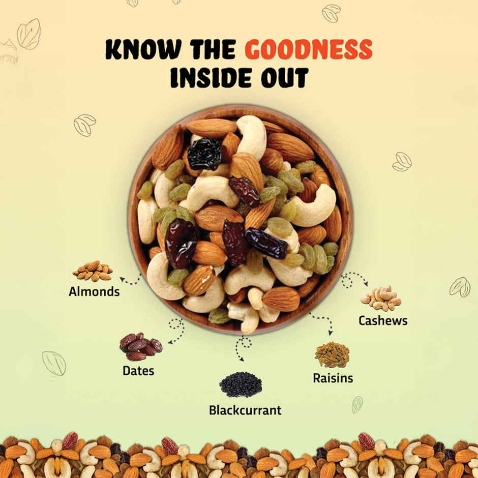 True Elements Premium Dry Fruits Mix Panchmeva Healthy Snacks