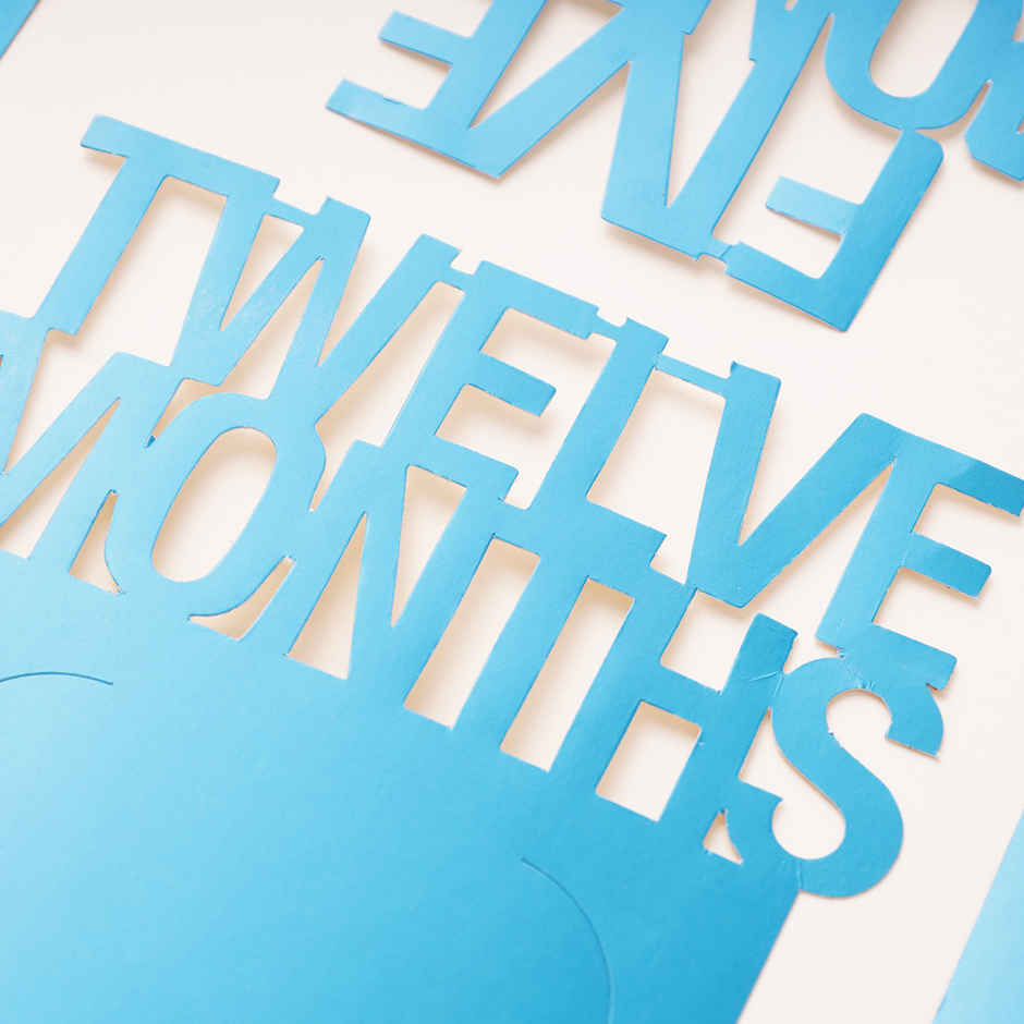Twelve Months 1st Birthday Photo Banner | Propcon