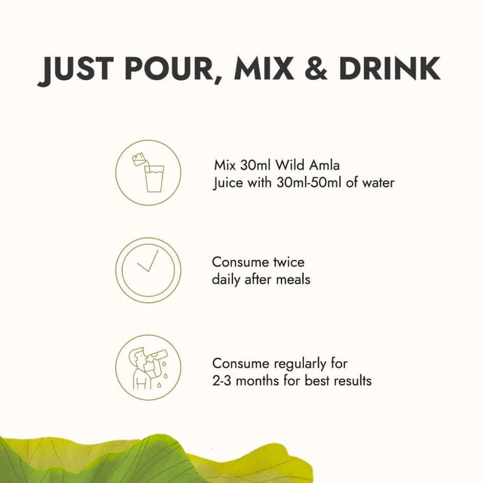 Kapiva Wild Amla Juice