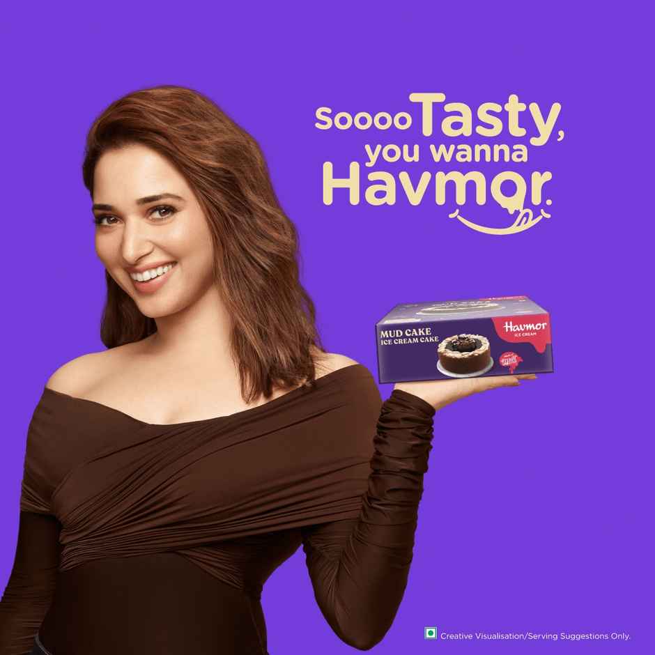 Havmor Mud Cake Ice Cream Cake | Creamy Dessert