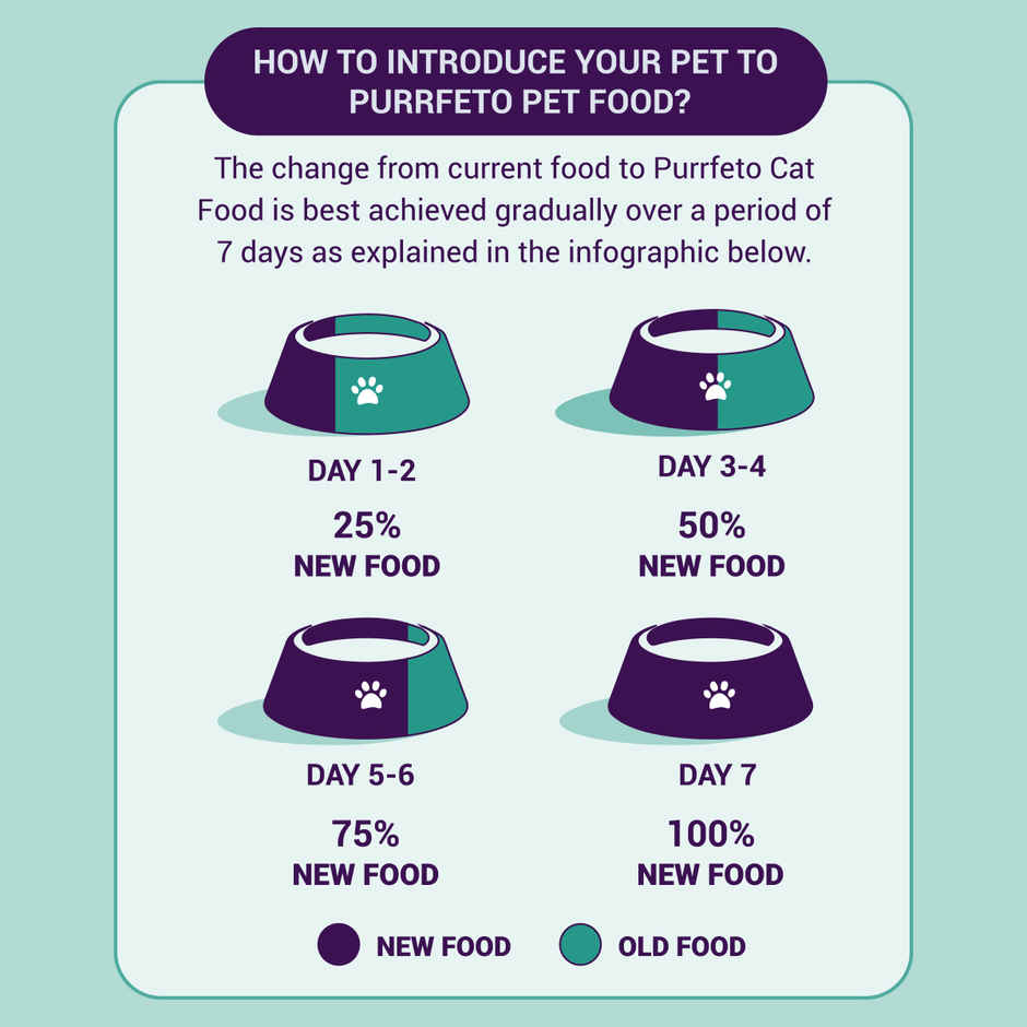 Purrfeto Dry Cat Food Chicken & Ocean Fish | Adult