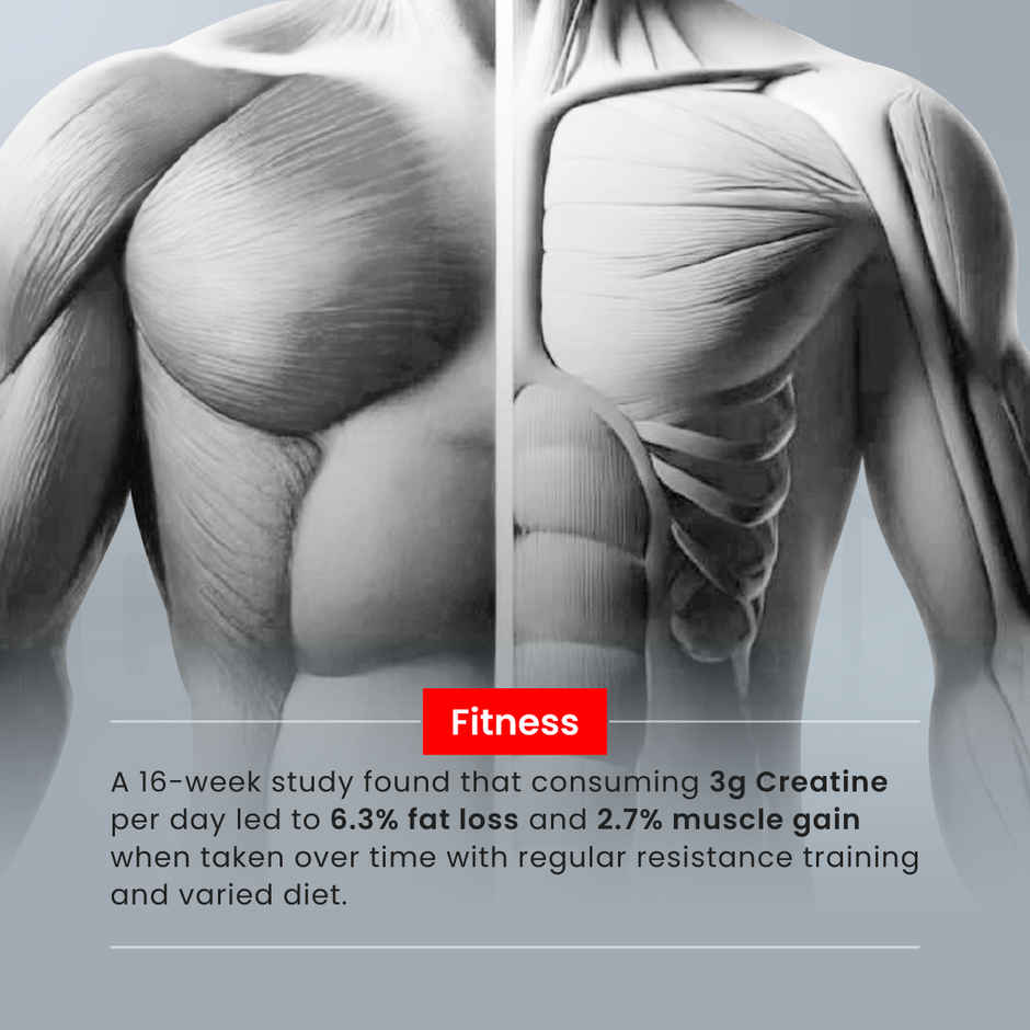 Big Muscles Nutrition Creatine | Sex On The Beach| Pure Creatine Monohydrate