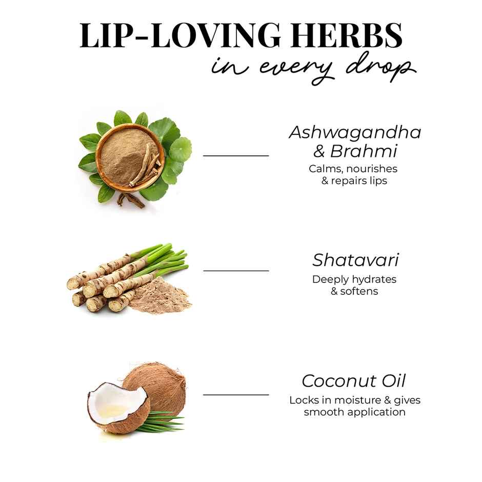 Just Herbs Enriched Liquid Lipstick Kit | 5 ml | Set Of 5