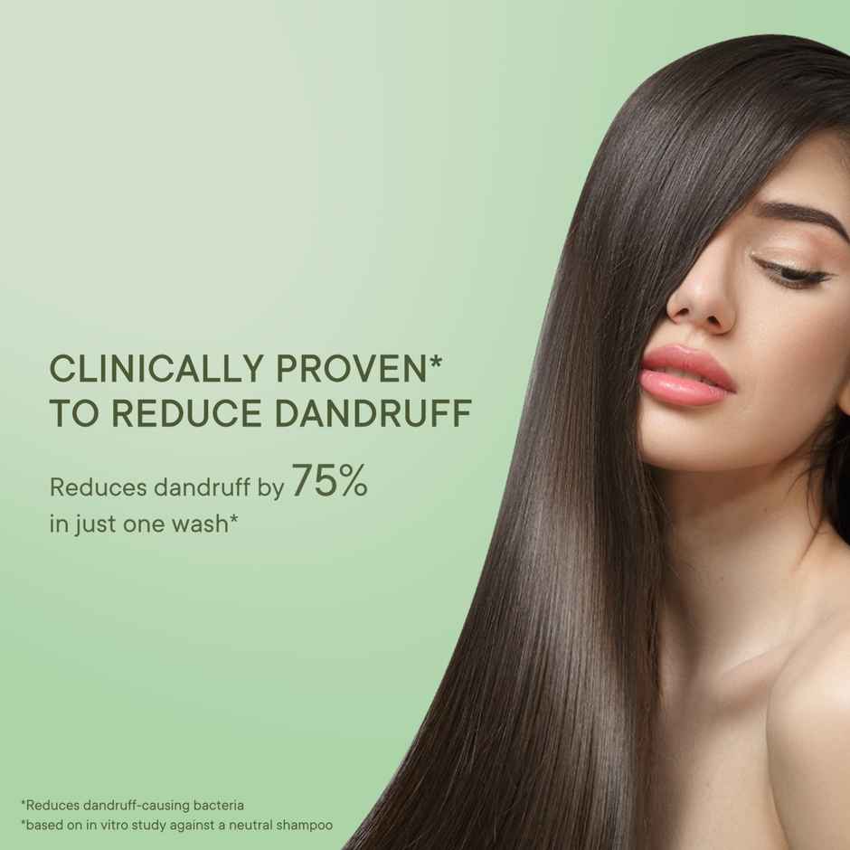 Quench Anti Dandruff Hair Shampoo With Tea Tree Extracts (Made In Korea)