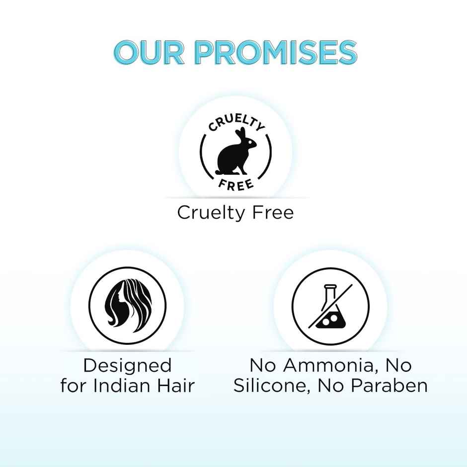 BBlunt Salon Secret 5 Minute Shampoo Hair Colour For 100% Grey Coverage - Natural Black