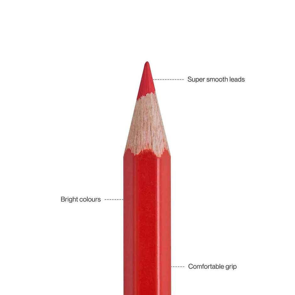 Camlin Colour Pencils Assorted Pack Of 24 Shades With Sharpener, Full Size