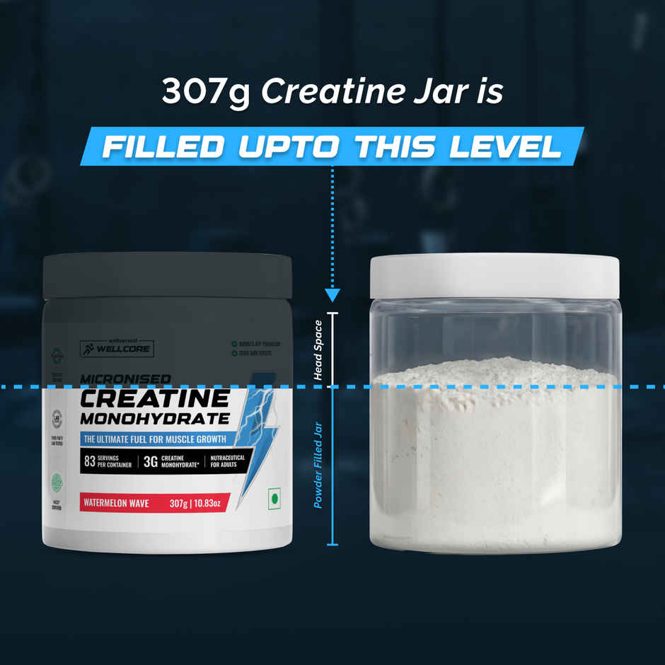 Wellcore Micronised Watermelon Wave Creatine Monohydrate | 83 servings